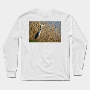 Grey Heron among the reeds Long Sleeve T-Shirt